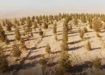 20 yıl emek verdi, boş araziyi ormana dönüştürdü