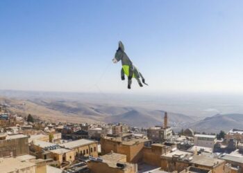 3 boyutlu ‘kadrolu eşek’ uçurtmaları, Mardin semalarında