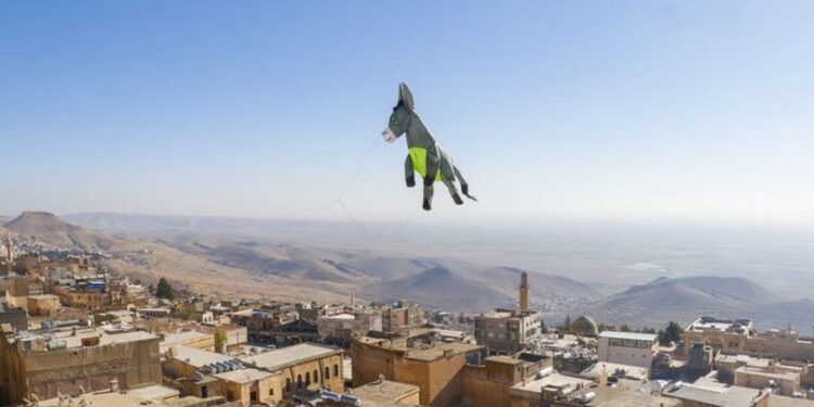 3 boyutlu ‘kadrolu eşek’ uçurtmaları, Mardin semalarında