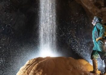 Türkiye’deki mağaralar bilim dünyasına 20 yeni tür kazandırdı