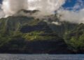 Hawaii’de keşfedilen çiçek, türünün yaşayan tek örneği