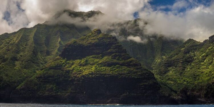 Hawaii’de keşfedilen çiçek, türünün yaşayan tek örneği