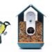 Bird Buddy: Akıllı kuş yemliği geliştirildi