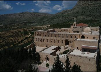 Tarihi manastırdan ödüllü zeytinyağı