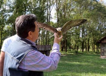 Teknisyen Ayhan dostu “Şakir”i doğal hayatına bıraktı