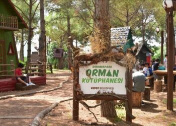 Bu kütüphane ormanda