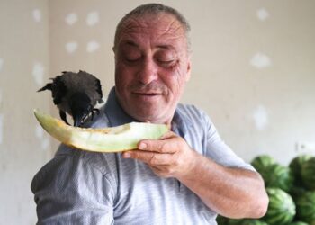 Gözünü oyar dediler… Gözü gibi bakıyor!