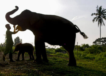 4 günlükken görüntülendi… Özenle korunuyor