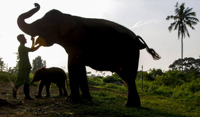 4 günlükken görüntülendi… Özenle korunuyor