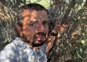 Kartal yuvasına korkusuzca tırmandı… Yavrusunu görüntüledi