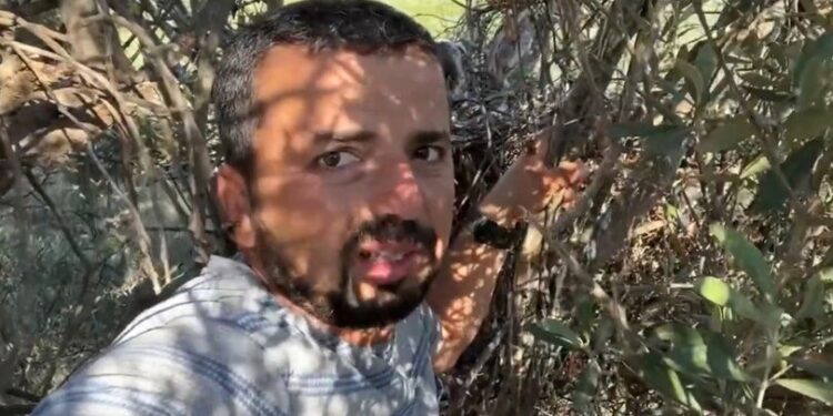 Kartal yuvasına korkusuzca tırmandı… Yavrusunu görüntüledi