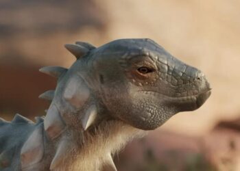 Arjantin’de yeni bir dinozor türü keşfedildi