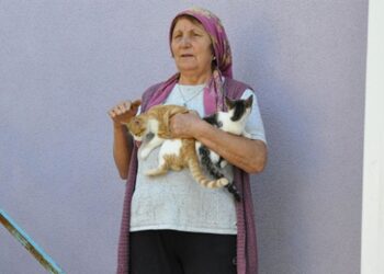 Köye bırakılan sahipsiz kedilere gönüllü bakıcılık yapıyor