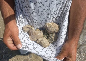 Köylüler arasında heyecan uyandırdı! Bozkırın ortasında bulundu