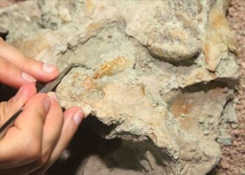 Bilim insanları 2022’deki keşifleriyle tarihe ışık tuttu