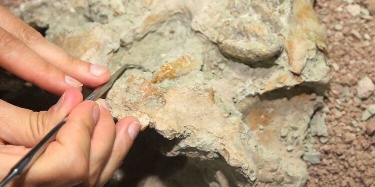 Bilim insanları 2022’deki keşifleriyle tarihe ışık tuttu