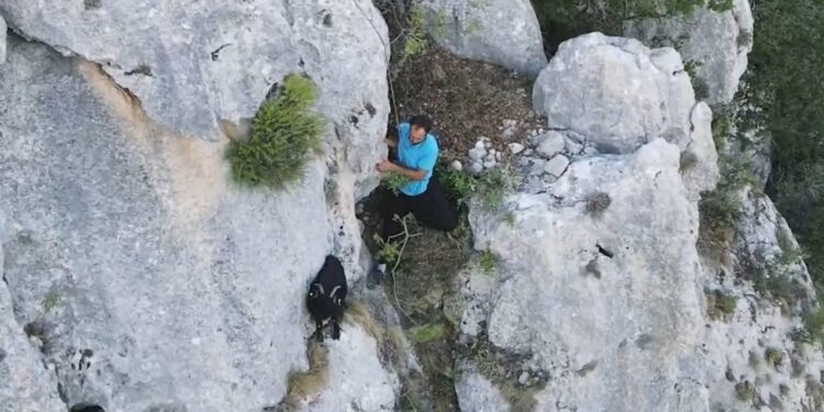 Kaybolan keçisini dronla buldu