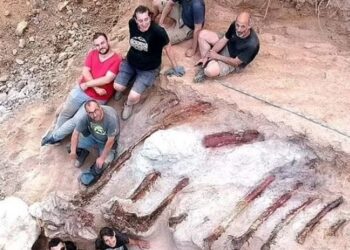 Portekiz’de 160 milyon yıllık dinozor fosili bulundu: Avrupa’nın en büyüğü