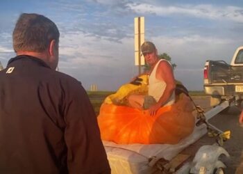 Dev bal kabağı ile rekor kırdı