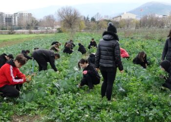 Fabrika gibi okul: Öğrenciler hem öğreniyor hem de para kazanıyor