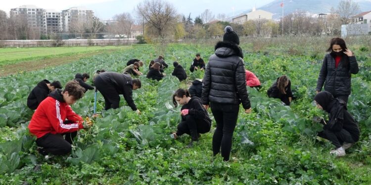 Fabrika gibi okul: Öğrenciler hem öğreniyor hem de para kazanıyor