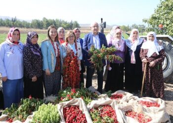 GastroAntep Festivali biber hasadıyla başladı