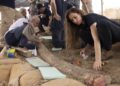 İsrail’de 500 bin yıllık devasa fildişi bulundu: 2,6 metre uzunluğunda ve150 kilo ağırlığında