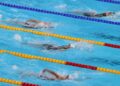 Yüzmede milli sporcular tarihi başarı elde etti