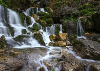 Asırlık ağaçlarıyla tabiat harikası Yedi Değirmenler