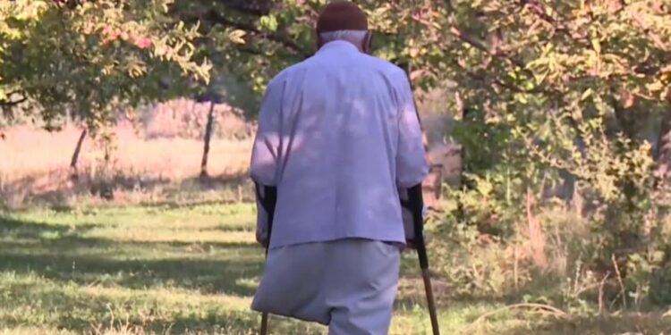 Bir bacağını kaybetti, ağaçlarıyla hayata tutundu