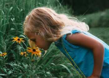 Google, bir maddenin nasıl koktuğunu tahmin eden yapay zeka geliştirdi