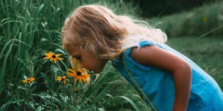 Google, bir maddenin nasıl koktuğunu tahmin eden yapay zeka geliştirdi