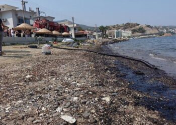 İzmir Foça’da 100 kişilik ekiple temizlik sürüyor