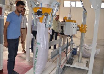 Devlet desteğiyle kurduğu fabrikada tohum işliyor