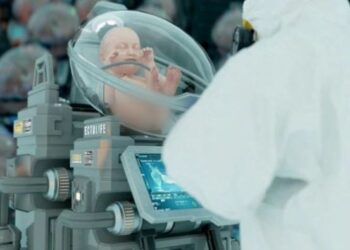 Bebekler yapay rahimde büyüyecek