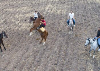 Ata sporunu yaşatmak için at çiftliği açtı