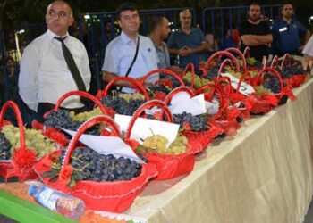 Geleneksel İslahiye üzüm ve biber festivali düzenlendi