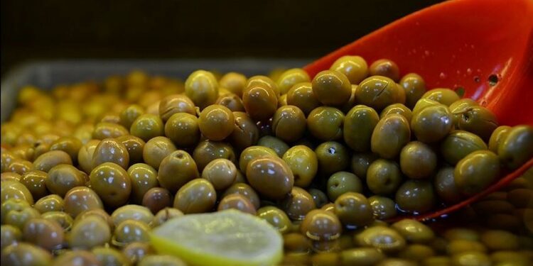 Türkiye sofralık zeytin ihracatında rekor kırdı
