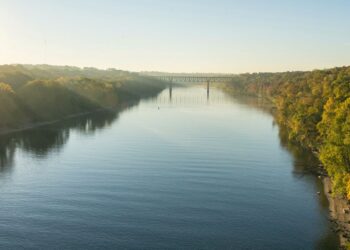 Mississippi Nehri’nde buzul çağına ait iki nadir fosil keşfedildi