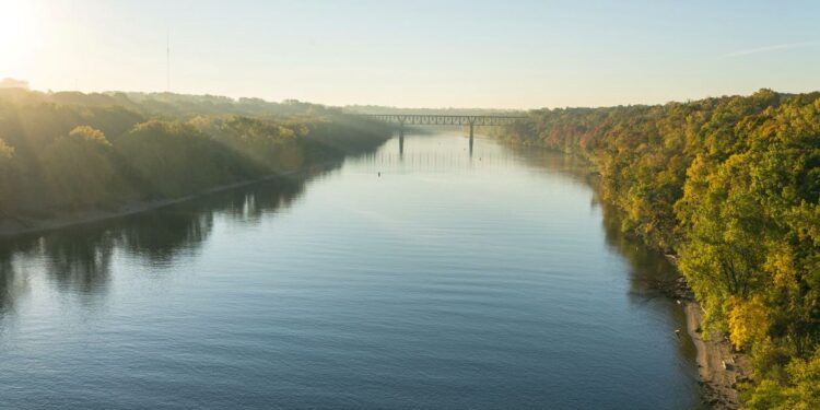 Mississippi Nehri’nde buzul çağına ait iki nadir fosil keşfedildi