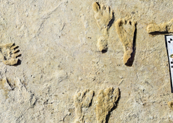 ABD’de 23 bin yıllık insan ayak izleri keşfedildi