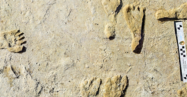 ABD’de 23 bin yıllık insan ayak izleri keşfedildi