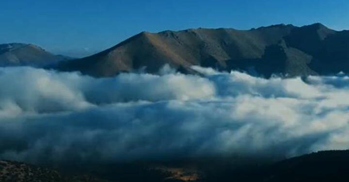 Milli Parklar Genel Müdürlüğü paylaştı: Yeni yaşam alanlarına uyum sağladılar