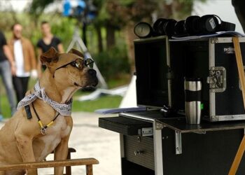 İnternet dizisi ‘Dikkat Köpek Var’ sinemaya uyarlanıyor