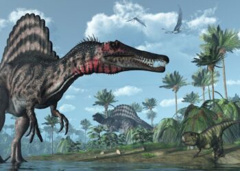 Araştırma: Dinozor türü “Spinosaurus” hem karada hem suda yaşamış olabilir