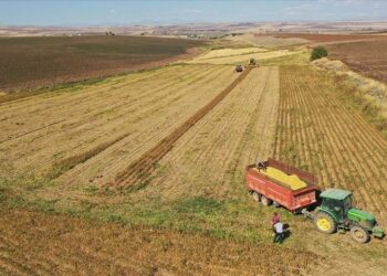 Tarım sektörü tüm zamanların aylık ihracat rekorunu kırdı