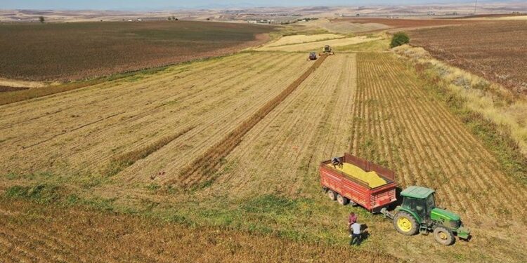 Tarım sektörü tüm zamanların aylık ihracat rekorunu kırdı