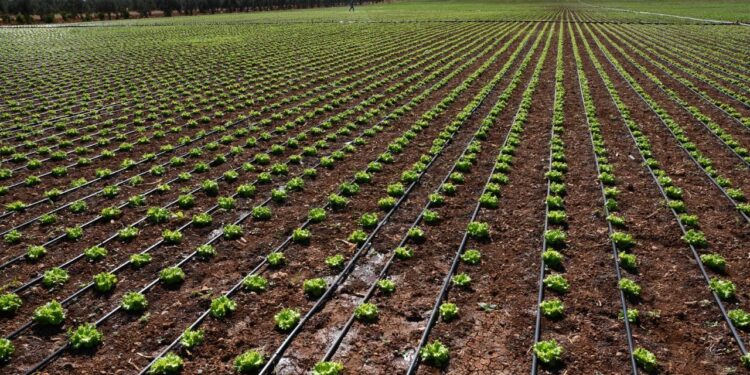 Modern sulama sistemleriyle yaklaşık 87 bin olimpik havuzluk su tasarrufu sağladılar