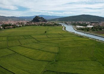 Tarım alanları uydudan takip edilecek