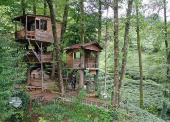 Ağaç gövdeleri arasına yaptı… İşte maliyeti!